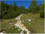 Konec ceste na Vogar - Planina Lopučnica